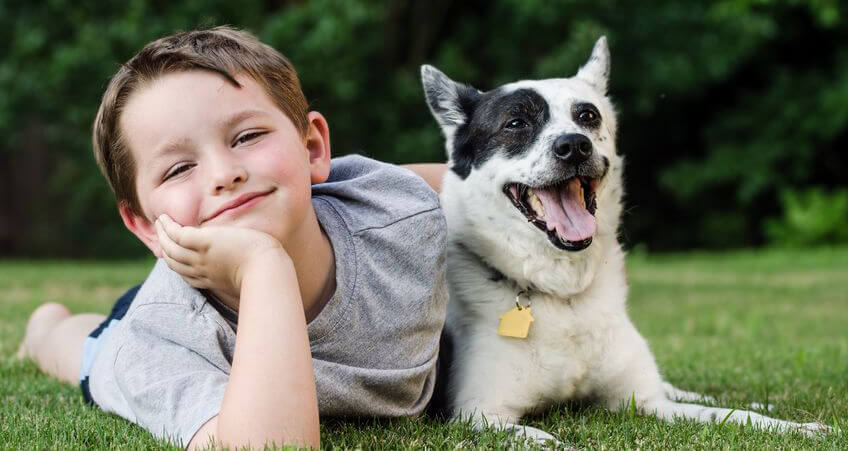 Hundeversicherung zum Schutz Ihres Vierbeiners